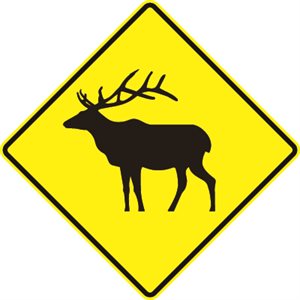 Elk Symbol