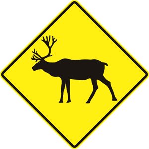 Caribou Symbol